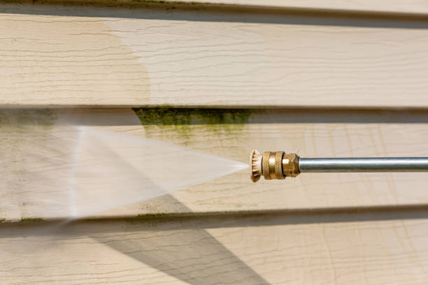 Best Exterior Home Cleaning  in Delano, CA